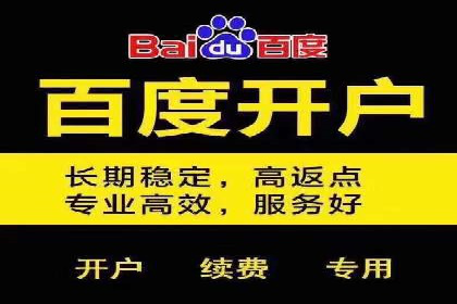 成功SEM托管案例解析